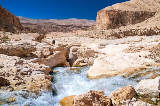 Activities in Wadi Al-Hasa